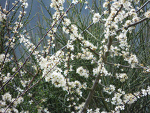 Fotoblog kociara121