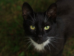 Fotoblog irtysz