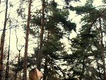 Fotoblog endlessbeauty
