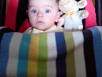 Fotoblog dulceoblea