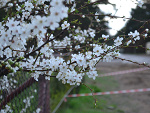 Fotoblog fruuuuxdd