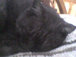 Fotoblog kaskos