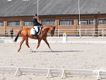 Fotoblog bbeaver