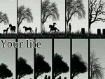 Fotoblog alwayslovehorses