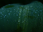 Fotoblog freehugsx33