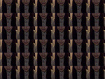 Fotoblog lovka69