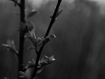 Fotoblog madz18