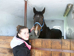 Fotoblog elan98
