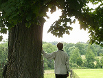 Fotoblog iacobus