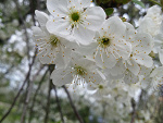 Fotoblog lolitka00
