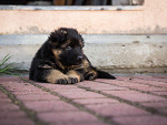 Fotoblog bogdan26
