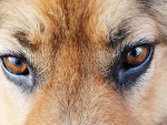 Fotoblog niikax