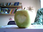 Fotoblog koniata10