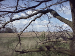 Fotoblog laufeyson