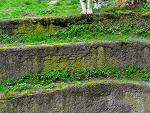 Fotoblog dawidgk