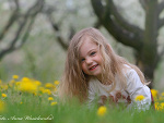 Anitka