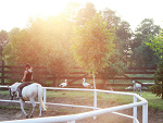 Fotoblog wszyscyumrzemyy