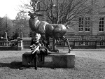 Fotoblog brakniku