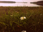 Fotoblog xbutterflyx1988x