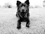 Fotoblog everydaymasakra