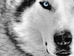 Fotoblog xlavidaesbellax