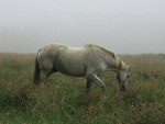 Fotoblog krzysztof22