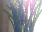 Fotoblog internetprincess