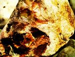 Fotoblog volveremos