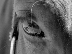 Fotoblog kalinka10roza