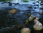 Fotoblog prude