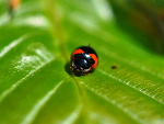 Fotoblog izaislady