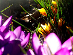 Fotoblog gaaaiczek