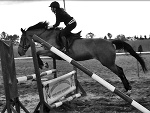 Fotoblog rogal161393
