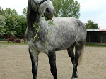 Fotoblog czekoladoweserduchox3