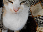 Fotoblog iza8549