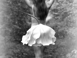 Fotoblog mlykoo