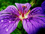 Fotoblog neverletmegox33