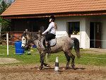 Fotoblog siwykonik