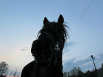 Fotoblog himitsusama