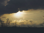Wpis edytapfotografia