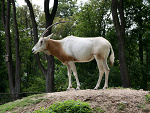 Fotoblog maximus69