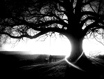 Fotoblog foreverforme