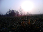 Fotoblog amylou