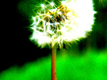 Fotoblog ruda1350
