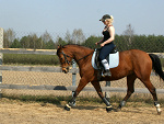 Fotoblog siwek674