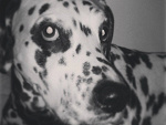 Fotoblog weraaaaaa
