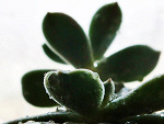 Fotoblog heelou