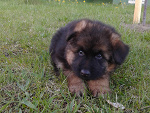 Fotoblog talusiadusia