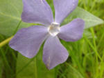 Fotoblog izuuunia95