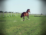 Fotoblog koncepcyjnax33